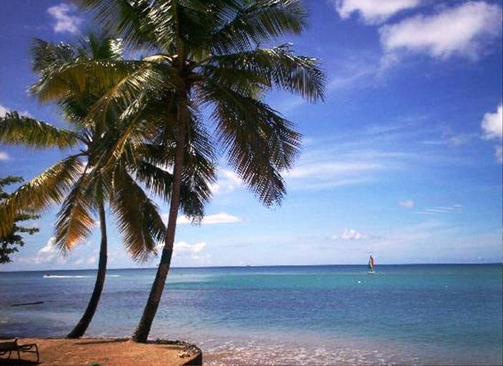 East Winds St. Lucia Hotel โกรส อิส์ลีต ภายนอก รูปภาพ