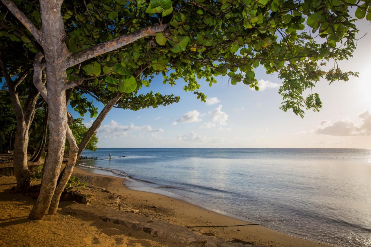 East Winds St. Lucia Hotel โกรส อิส์ลีต ภายนอก รูปภาพ