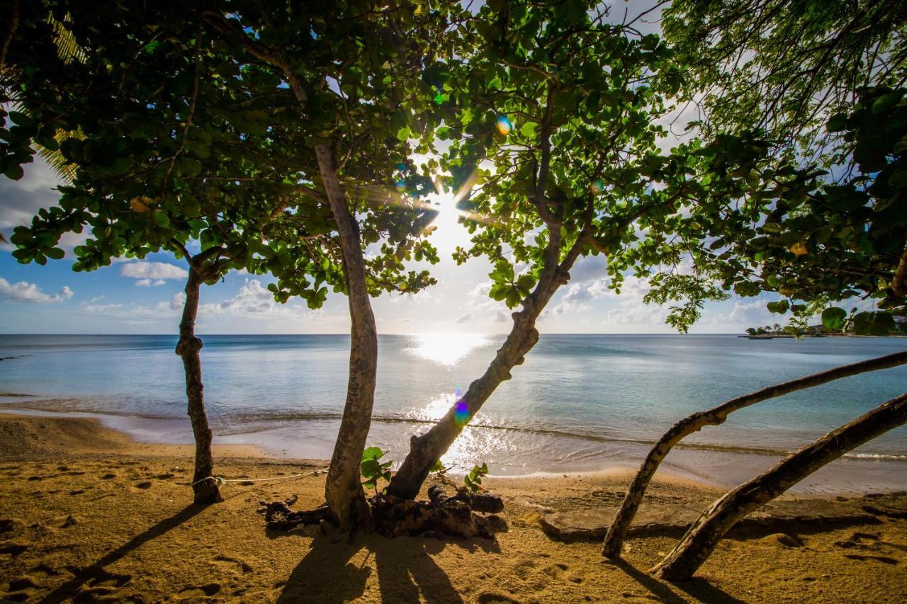 East Winds St. Lucia Hotel โกรส อิส์ลีต ภายนอก รูปภาพ
